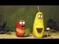 Download Lagu LARVA - MUSHROOM | 2017 Cartoon Movie | Videos For Kids | Kids TV Shows Full Episodes