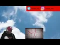 Kendrick Lamar - The Recipe (Album Version) ft. Dr. Dre (Reaction)