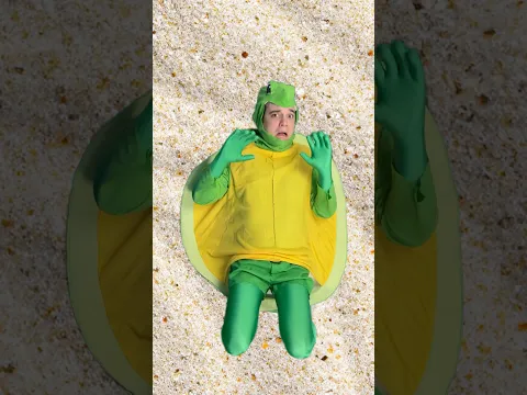 Turtle hatchling becomes a legend #comedy #music #sketch