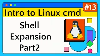 Shell Expansion Part 2 Path Tricks Command Arithmetic Expansion - Introduction to Linux