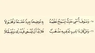 شرح الشاطبية بيتين بيتين شرح البيتين 65 66 