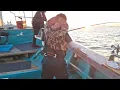 Download Lagu Captain Ok, Hairtail Fishing 08:30