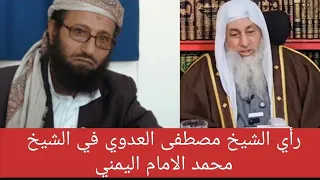رأي الشيخ مصطفى العدوي في الشيخ محمد الامام اليمني 