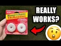 Do The Viral Mosquito Dunks Actually Work My Honest Review
