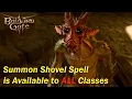 BG3 - Every Class Can Summon Shovel the Quasit Permanently in Baldur s Gate 3