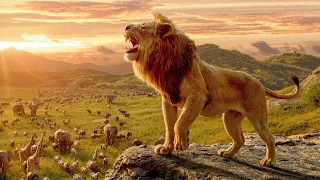 كان شبل صغير عمه بيقتل ابوه قدام عنيه وبيرميه بره الغابه مايعرفش ان الشبل هايكبر ويرجعله اسد مخيف 