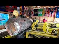 sawing a big pine log 212