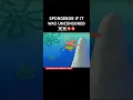 SPONGEBOB IF IT WAS UNCENSORED