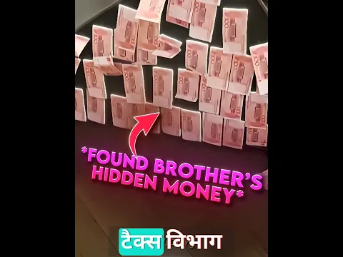 Cat Found Thousands of Dollars 💵😸 #shorts