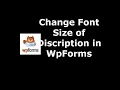 Method to Set Description Font Size in WpForms