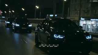 SHADOW PHOENIX DARK VALLEY 