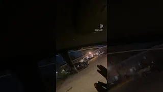 Cat vs Lyft driver