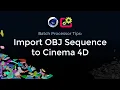 Import Obj File Sequence into Cinema 4D Scene
