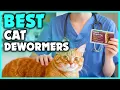 5 Best cat dewormers for 2026