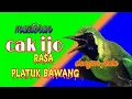 Download Lagu Masteran cucak ijo rasa platuk bawang +terapi air