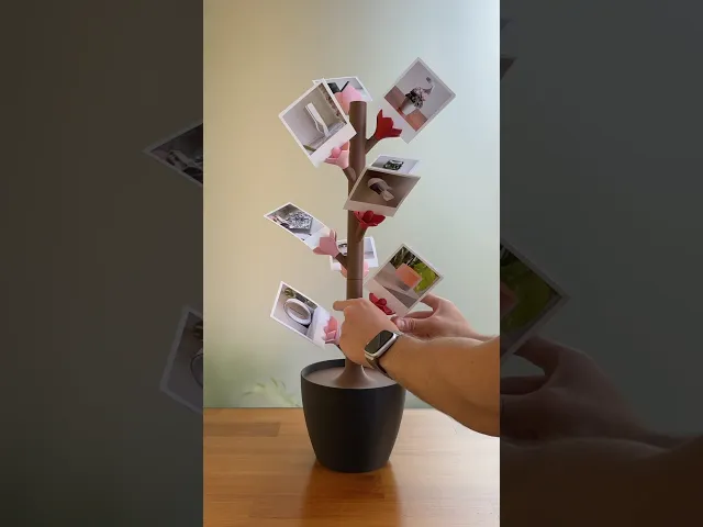 Floraroid, modular photo display stand. video thumbnail