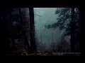 FOREST AT NIGHT - Crickets Owls Rain Wind in Trees - Relax Study Sleep De-Stress 🎧 100% RELAX