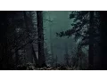 Download Lagu FOREST AT NIGHT - Crickets Owls Rain Wind in Trees - Relax Study Sleep De-Stress 🎧 100% RELAX