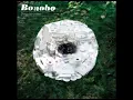 Bonobo - Terrapin