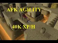 AFK Agility exp method Brimhaven course floor spikes 40k