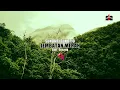 Download Lagu SUNDARI SUKOTJO - JEMBATAN MERAH [ OFFICIAL KARAOKE ]