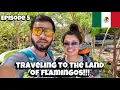 Tulum to Rio Lagartos Traveling in ADO bus and Colectivo Travel Guide Mexico Series - Episode 5