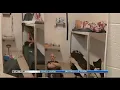 Pueblo County Jail most overcrowded jail in the state