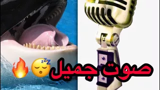 فرقة BTS تستعين بصوت الحوت العذب للغناء 