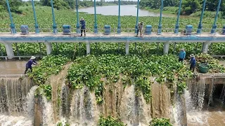 Massive River Cleanup Mission | Unclogging the Water Gate