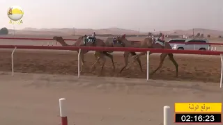 الشوط 11 منوه لـ عبيد مكتوم سلوم الراشدي شارة الشيخ طحنون بن محمد 2019 08 9 الساد لقايا 