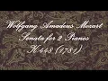 Mozart - Sonata in D for 2 Pianos K.448 (1781) {Haebler&Hoffmann}