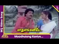 Download Lagu Maadhulang Kaniye Video Song | Sami Potta Mudichu Tamil Movie Songs | Murali | Sindhu