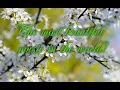 Download Lagu THE MOST BEAUTIFUL SPRING MELODY IN THE WORLD! SERGEY GRISCHUK'S MUSIC IS A MELODY OF LOVE!