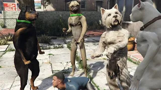 Download Cats VS Dogs - Hood Safari Mission in GTA 5 MP3