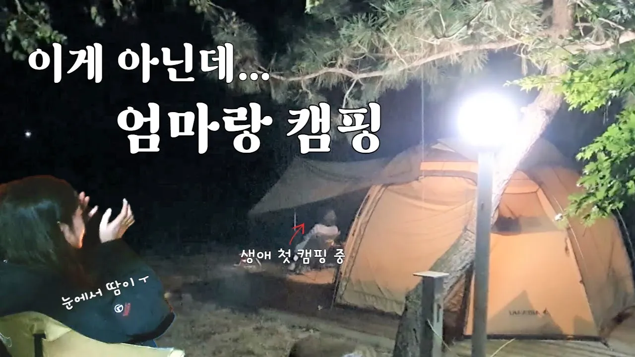 [79캠핑] 엄마의 생애 첫 캠핑인데... 이게 아닌데... / 우중캠핑 / 캠핑웨건 / 우드쉘프 / 원스위크라이프 / 아베나키실타프 / 경주 명수원 캠핑장 サムネイル