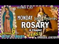 Lagu MONDAY Rosary \u0026 Chaplet🌹 JOYFUL Mysteries of the Rosary Today December 8, 2025 IMMACULATE CONCEPTION