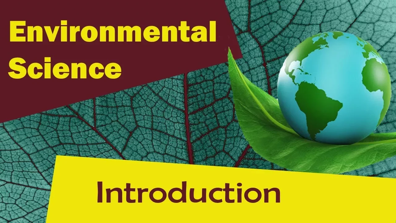 Ecosystem | Introduction To An Ecosystem | - Environmental Science