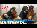 Download Lagu DI PRANK AYAH DI KIRA KUDA BARU TERNYATA ALPACA..! OMG LUCU BANGETTT