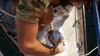 Installing our New Windlass – Free Range Sailing Ep 72