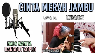 Download CINTA MERAH JAMBU-LAVENIA KARAOKE DANGDUT KOPLO MP3