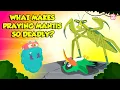 Download Lagu Praying Mantis - Deadliest Insect Ever | Kung Fu Mantis | Insects That Camouflage | Dr. Binocs Show