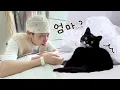Download Lagu 119에 실려간 엄마를 60일만에 만난 고양이 반응..