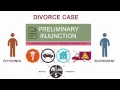 Navigating Family Court Ch 1 - How the Case Gets Started