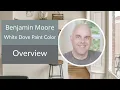 BM White Dove Paint Color Overview