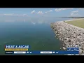 Heat wave could affect algae blooms on Lake Pontchartrain