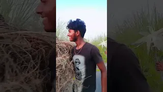                    دندنها