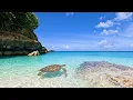 No AI 6 Hours of Beautiful Beach Ambience Ocean Sounds Tranquility