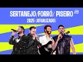 Download Lagu Playlist: Sertanejo, Forró e Piseiro 2025