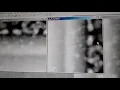 temDM 15 correct STEM images