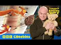The Squirrels Who Squabbled read by Ross Kemp CBeebies Bedtime Story
